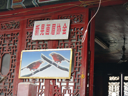 DSC03551_副本.jpg