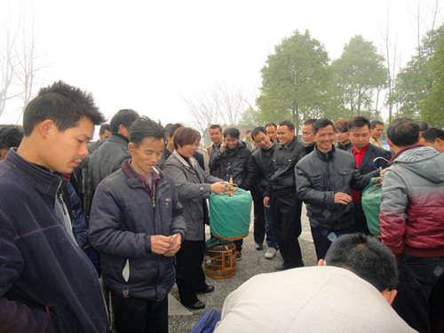 DSC03670_副本.jpg