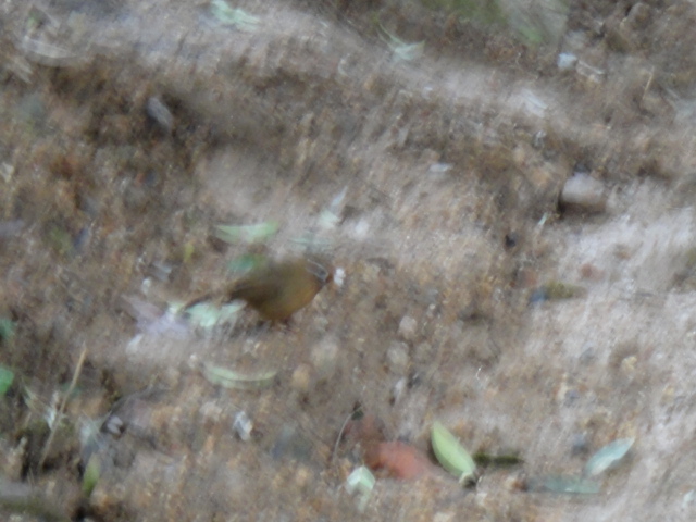DSC02841.JPG