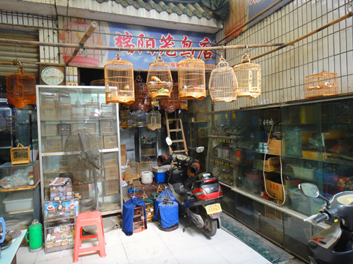 DSC03069_副本.jpg