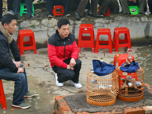 DSC03690_副本.jpg