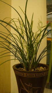 DSC05016_调整大小.JPG
