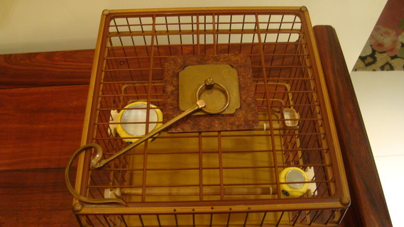 DSC05029_调整大小.JPG