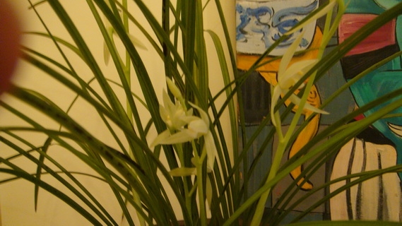 DSC05018_调整大小.JPG