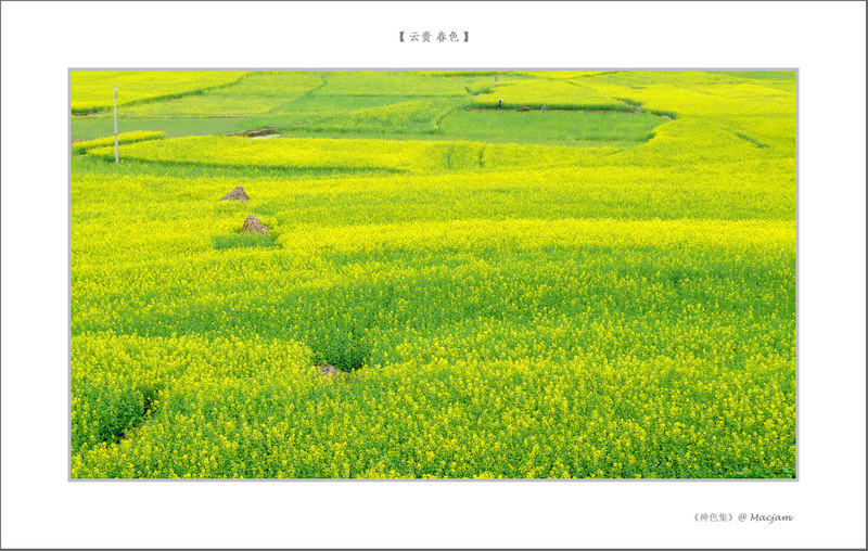 nEO_IMG_L1120096.jpg