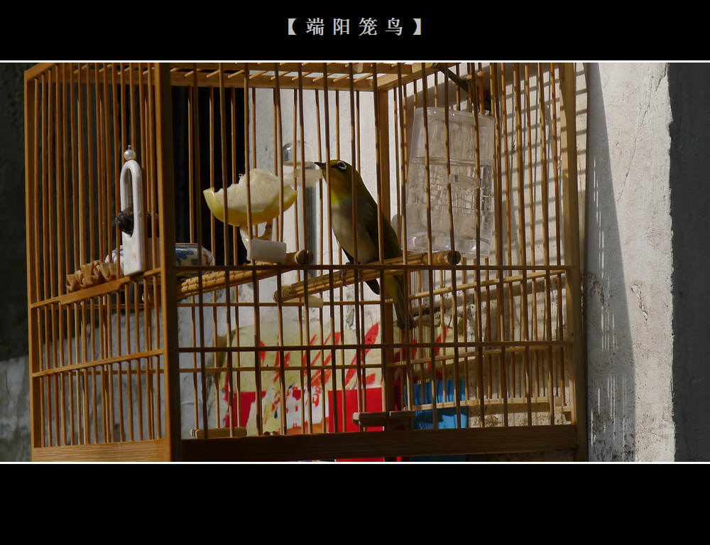 照片 006.jpg
