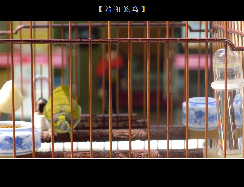 照片 026.jpg