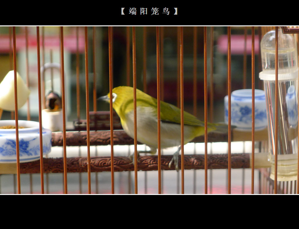 照片 024.jpg