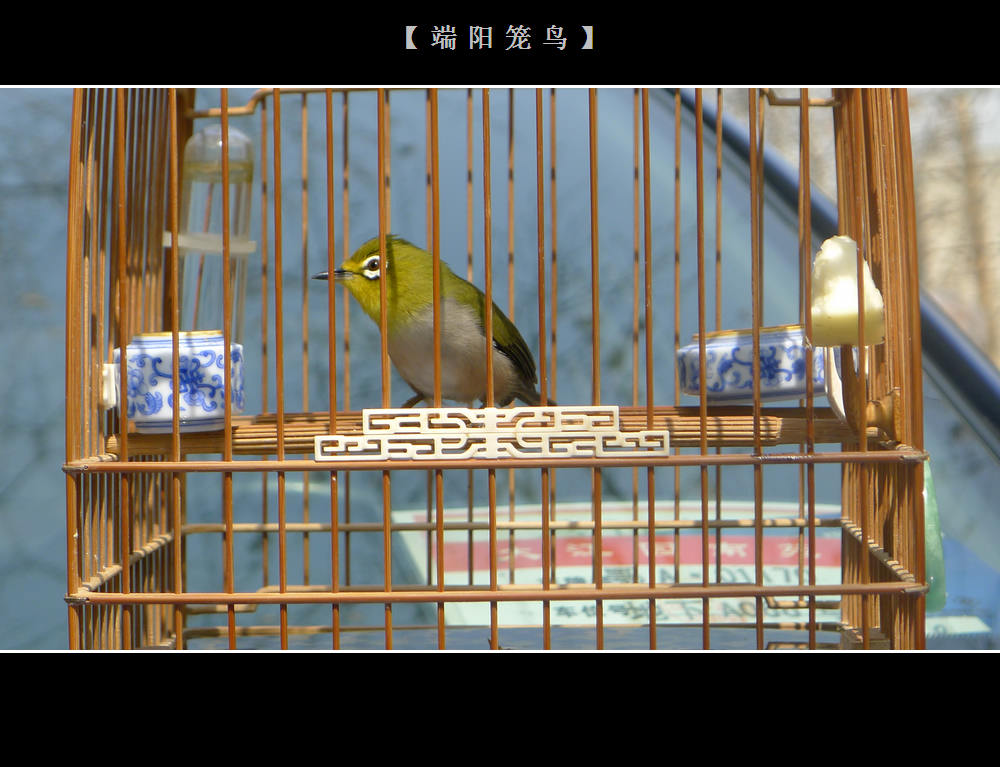 照片 021.jpg