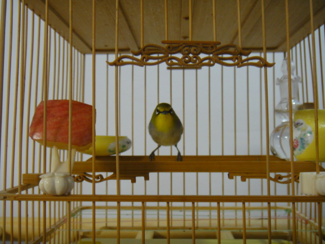 DSC03138.JPG