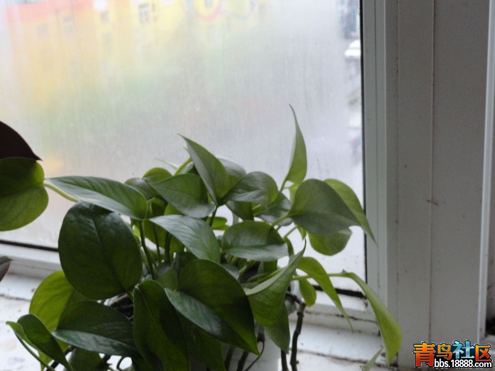 DSC00116新1.jpg