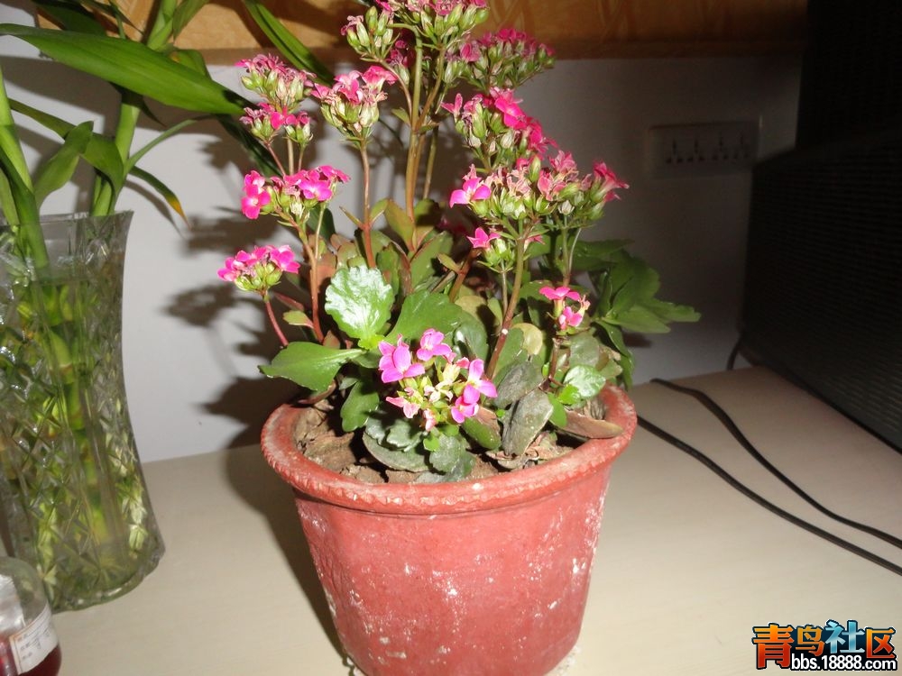 DSC00109新.jpg