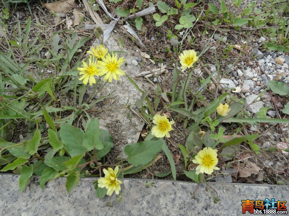 DSC00254新.jpg