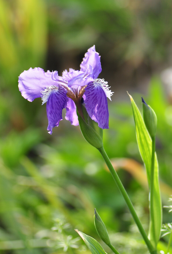 2012.4.20 039.jpg