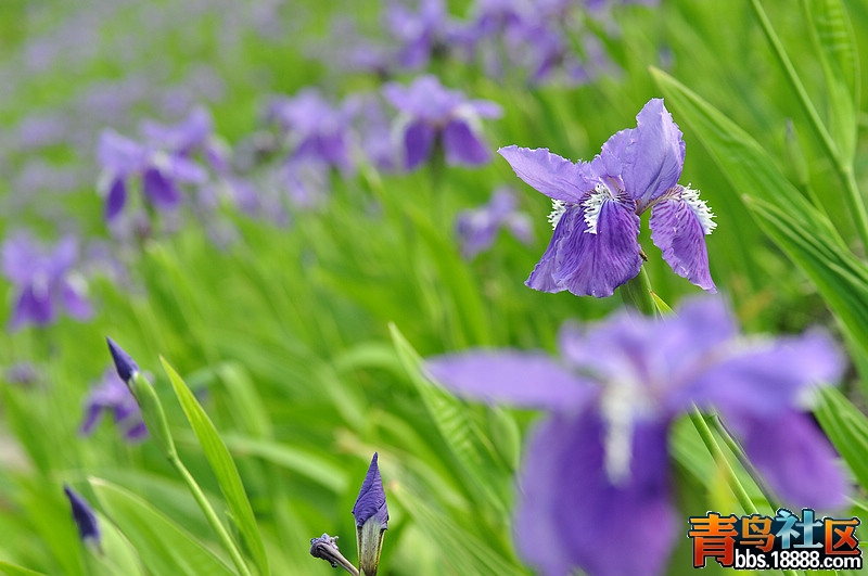 2012.4.20 067.jpg