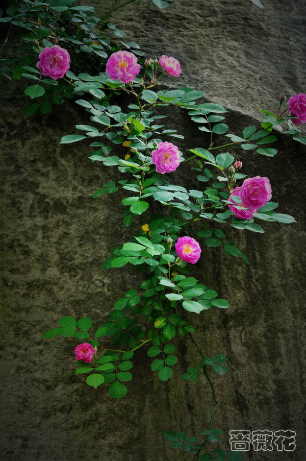 02.10.4.25 078.jpg
