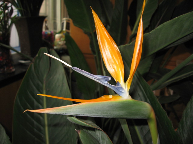 2012-04-02 002.jpg
