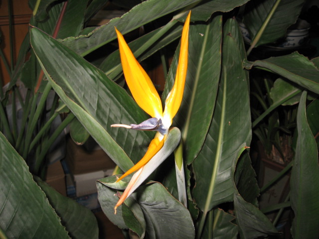 2012-04-02 013.jpg