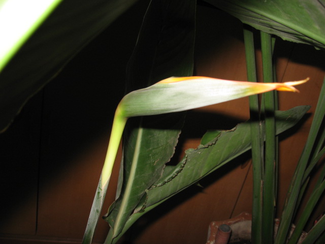 2012-04-02 005.jpg