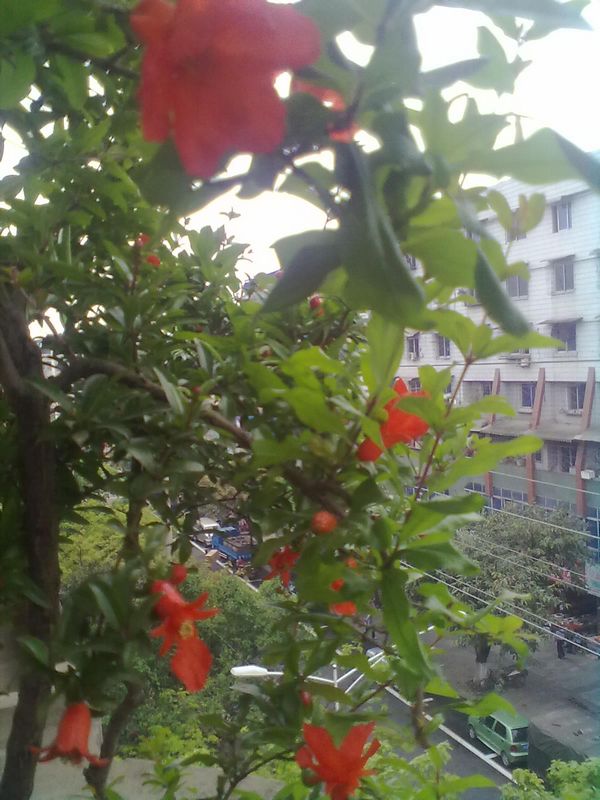 20120428268.jpg