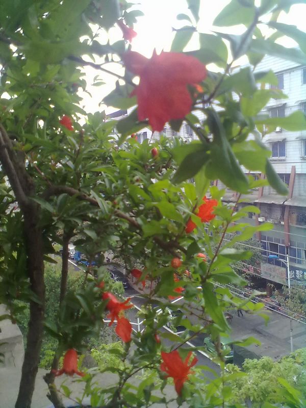 20120428267.jpg