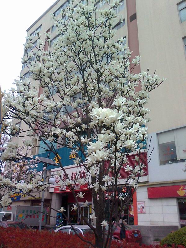 照片0840.jpg