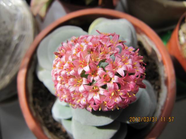 调整大小 IMG_3896.jpg