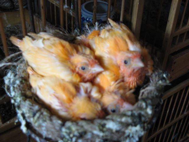 照片 139.jpg