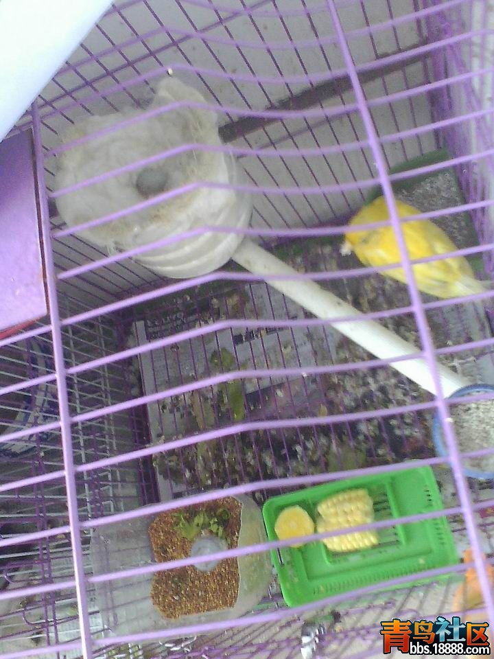IMG0418081200.jpg