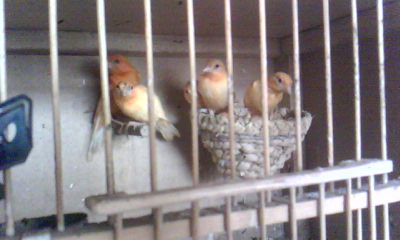 20120420_1608_0.jpg