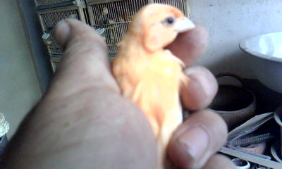 20120420_1606_0.jpg