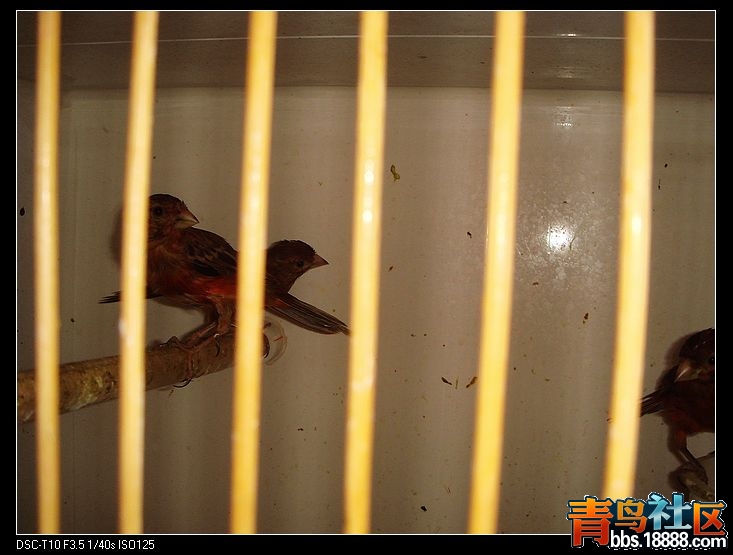 nEO_IMG_DSC09806.jpg