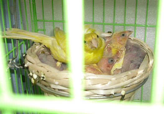 CIMG2855_副本.jpg