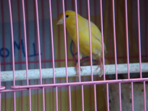 DSC02543.jpg