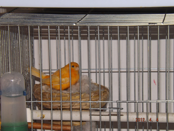 4DSCF0048.jpg