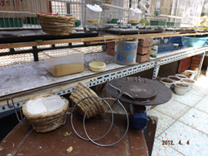 DSCF0062.jpg