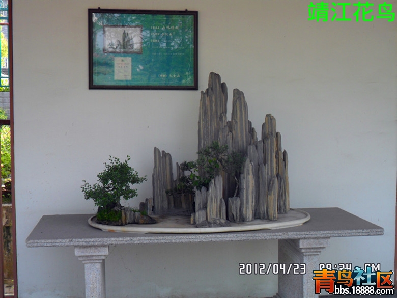 SAM_0633_副本.jpg