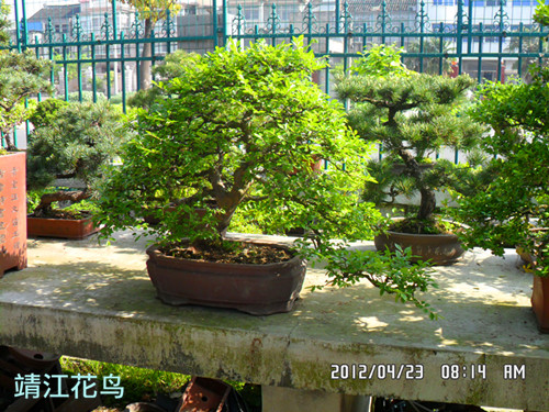 SAM_0605_副本.jpg