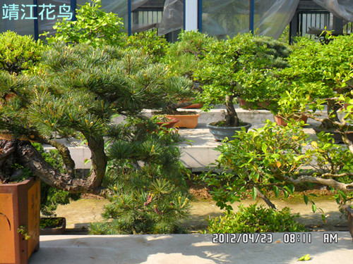 SAM_0600_副本.jpg