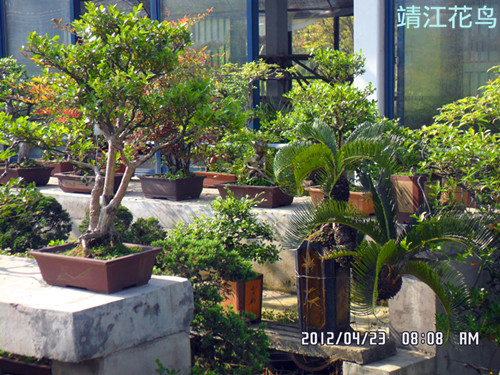 SAM_0594_副本.jpg