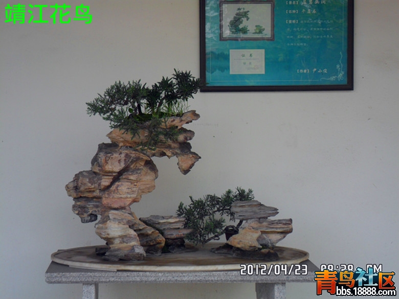 SAM_0649_副本.jpg