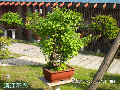 SAM_0622_副本.jpg