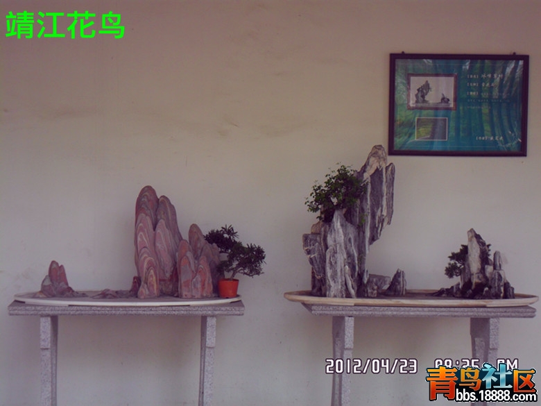 SAM_0636_副本.jpg