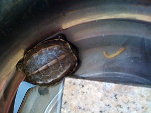 nEO_IMG_IMG_0170.jpg