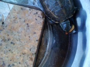 nEO_IMG_IMG_0172.jpg