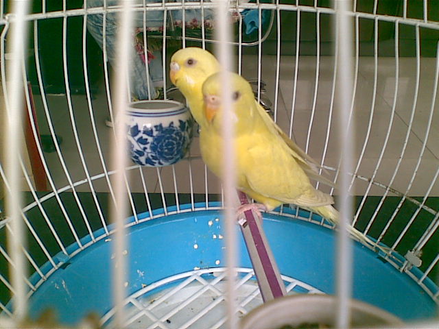 20120416(010).jpg