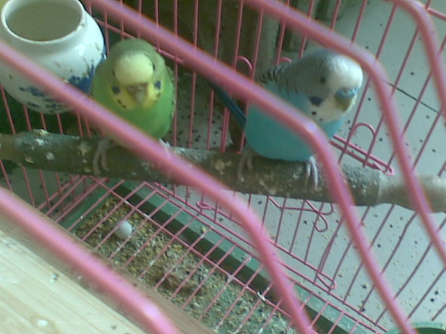 20120416.jpg