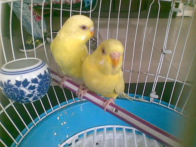20120416(011).jpg