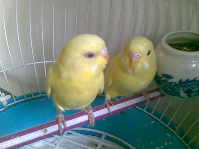20120416(009).jpg
