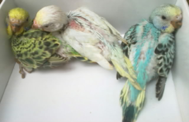 20120425633.jpg